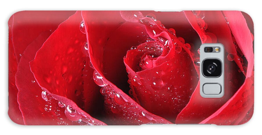 Red Rose Galaxy Case featuring the photograph Red Rose Macro with Waterdrops by Sharon Talson