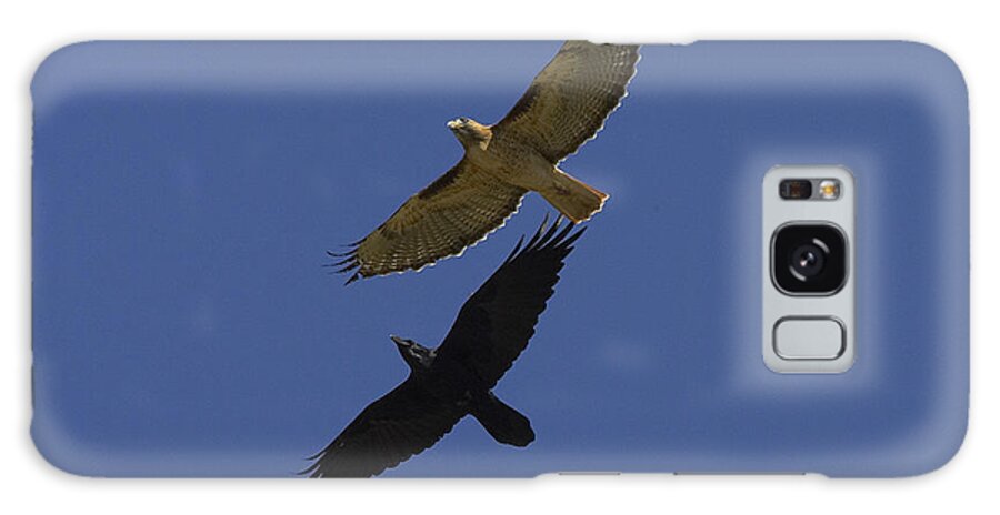 Feb0514 Galaxy Case featuring the photograph Red-tailed Hawk And Common Raven Flying by San Diego Zoo