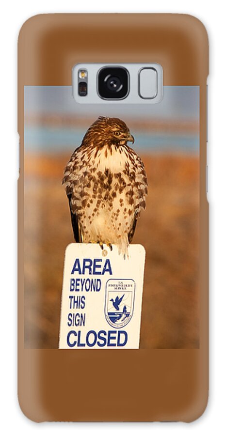 Red-tailed Hawk Galaxy Case featuring the photograph Red Tailed Hawk Lower Klamath National Wildlife Refuge Northern California by Ram Vasudev