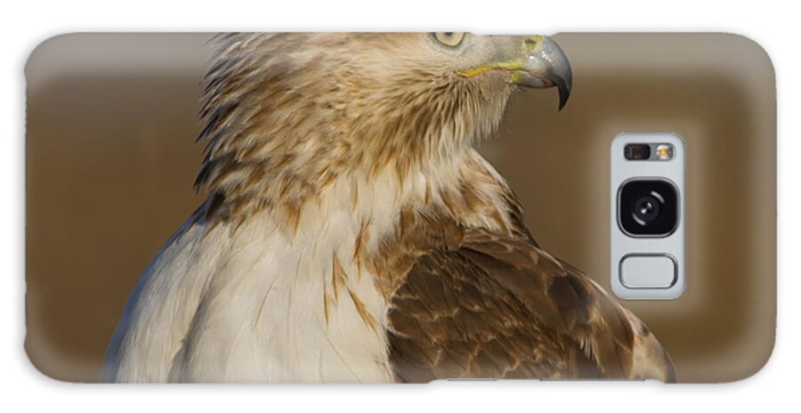 Beak Galaxy Case featuring the photograph Red-tailed Hawk portrait by Larry Bohlin