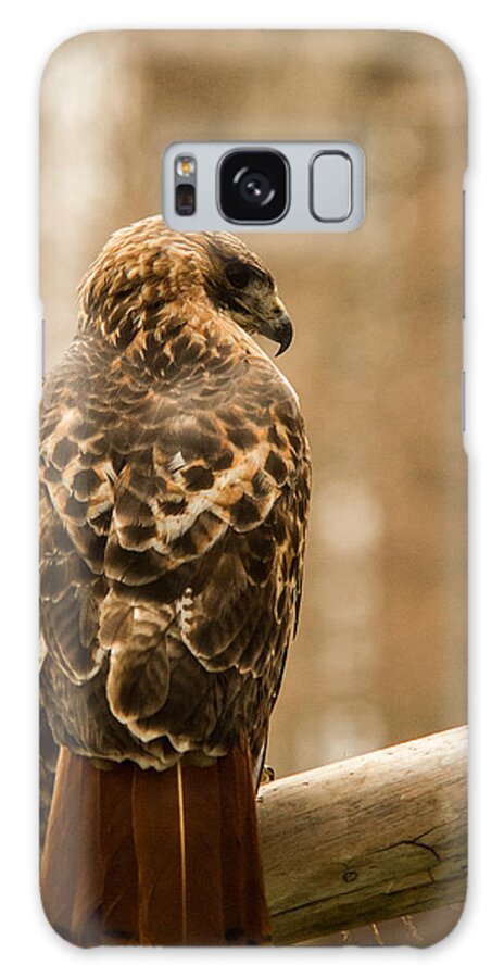 Red-tailed Galaxy S8 Case featuring the photograph Redtailed Hawk 23 by Douglas Barnett