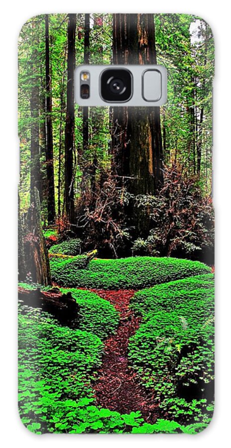 Redwood Galaxy Case featuring the photograph Redwoods Wonderland by Benjamin Yeager