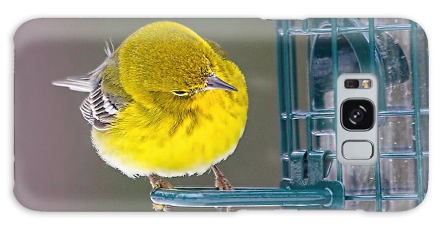 Bird Galaxy Case featuring the photograph Refill Time by Don Margulis
