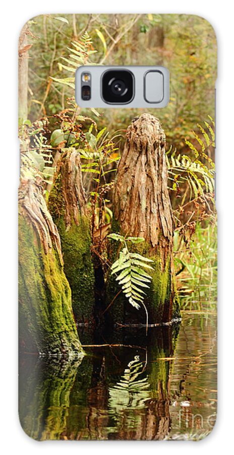 Swamp Galaxy Case featuring the photograph Reflecting Cypress Knees by Andre Turner