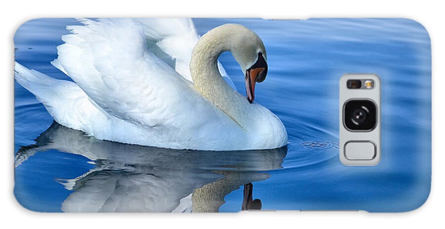 White Swan Galaxy Case featuring the photograph Reflecting by Deb Halloran
