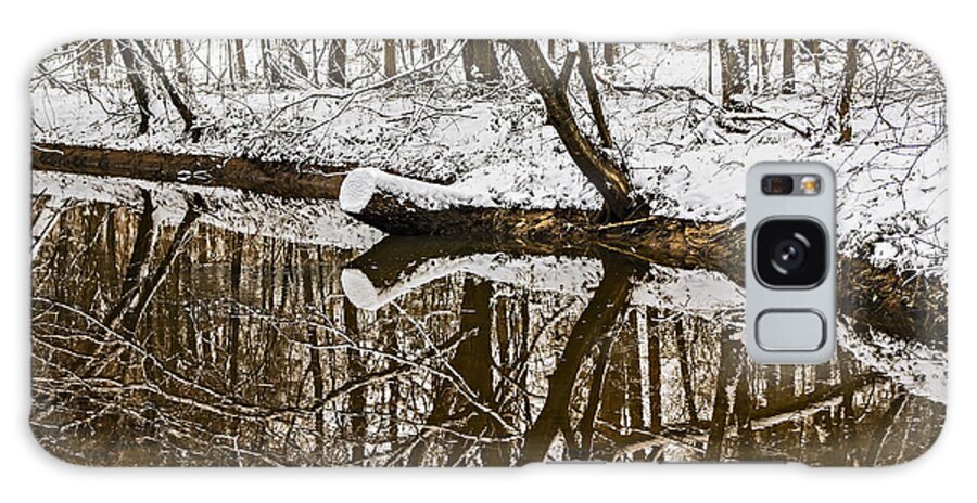 Nature Galaxy Case featuring the photograph Reflecting Stump On A Cold Winter Day by Michael Whitaker