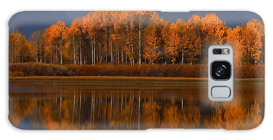 Landscape Galaxy Case featuring the photograph Last Sentinels by David Andersen