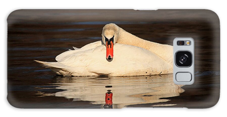 Swan Galaxy Case featuring the photograph Reflections Of A Swan by Karol Livote