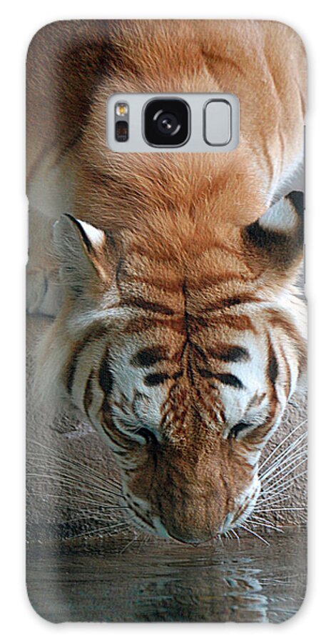 Tiger Galaxy Case featuring the digital art Reflections of the Wild by DigiArt Diaries by Vicky B Fuller