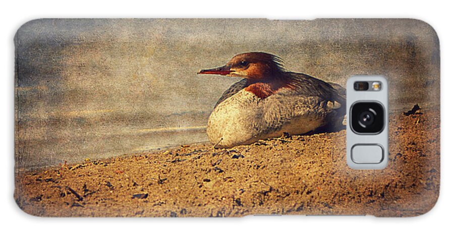 Merganser Galaxy Case featuring the photograph Relaxing Under The Sun by Maria Angelica Maira