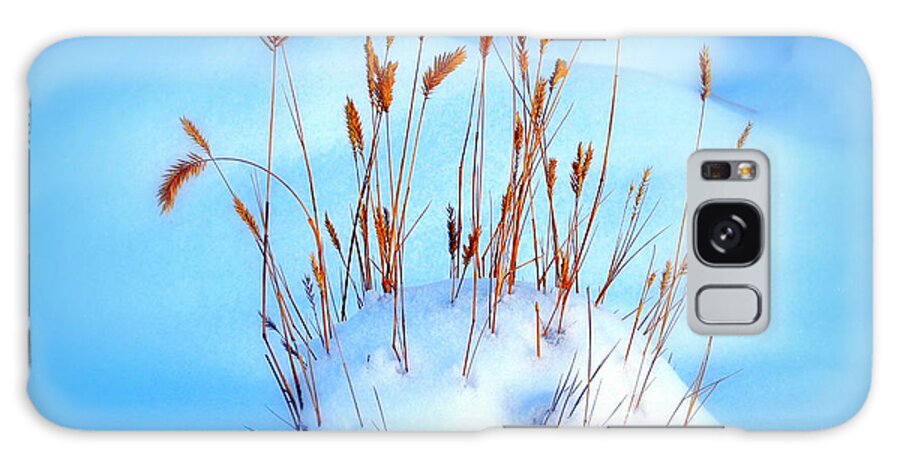 Winter Galaxy Case featuring the photograph Remnants of Life by Lisa Holland-Gillem
