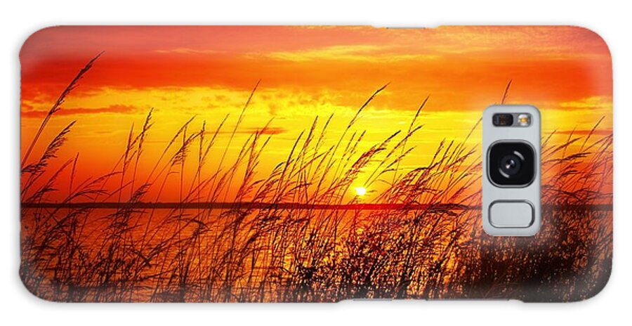 Sunset Galaxy S8 Case featuring the photograph Reservoir Sunset 3 by Jim Albritton