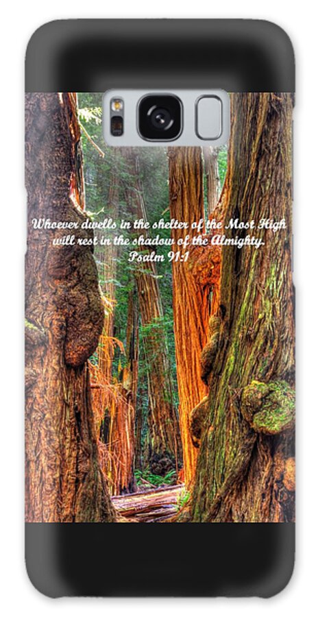 California Galaxy S8 Case featuring the photograph Rest in the Shadow of the Almighty - Psalm 91.1 - From Sunlight Beams Into the Grove at Muir Woods by Michael Mazaika