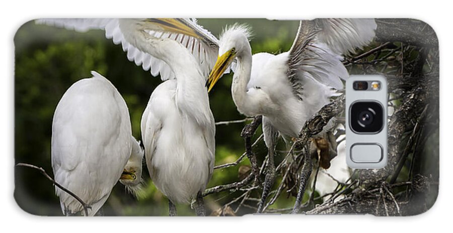 Rookery Galaxy Case featuring the photograph Restless Teenage Egrets by Donald Brown