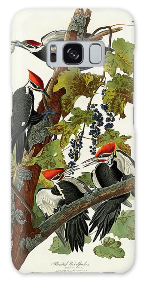 Robert Galaxy Case featuring the drawing Robert Havell After John James Audubon American by Quint Lox