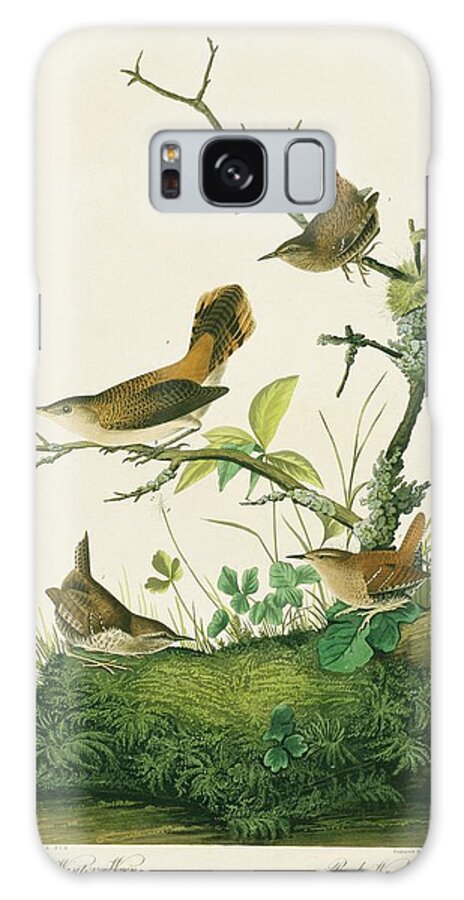 Illustration Galaxy Case featuring the photograph Rock Wren And Winter Wren by Natural History Museum, London/science Photo Library