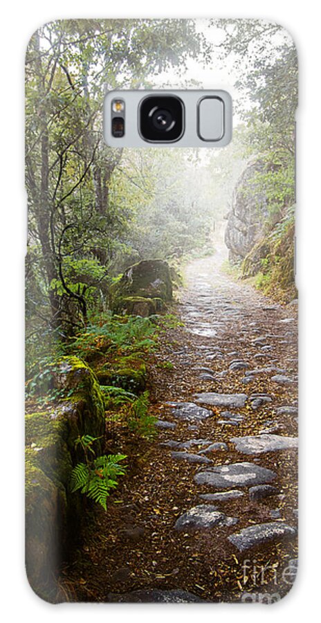 Autumn Galaxy Case featuring the photograph Rocky trail in the foggy forest by Carlos Caetano