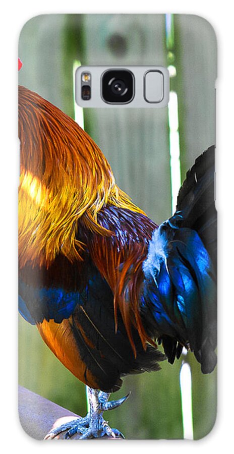 Rooster Galaxy Case featuring the photograph Rooster by Robert L Jackson