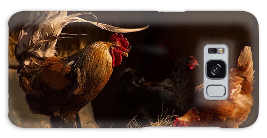 Rooster Galaxy Case featuring the photograph Morning Light by Bob Geary