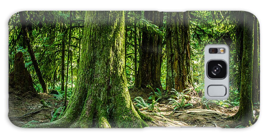 Old Growth Forest Galaxy Case featuring the photograph Root Feet Cathedral Grove by Roxy Hurtubise