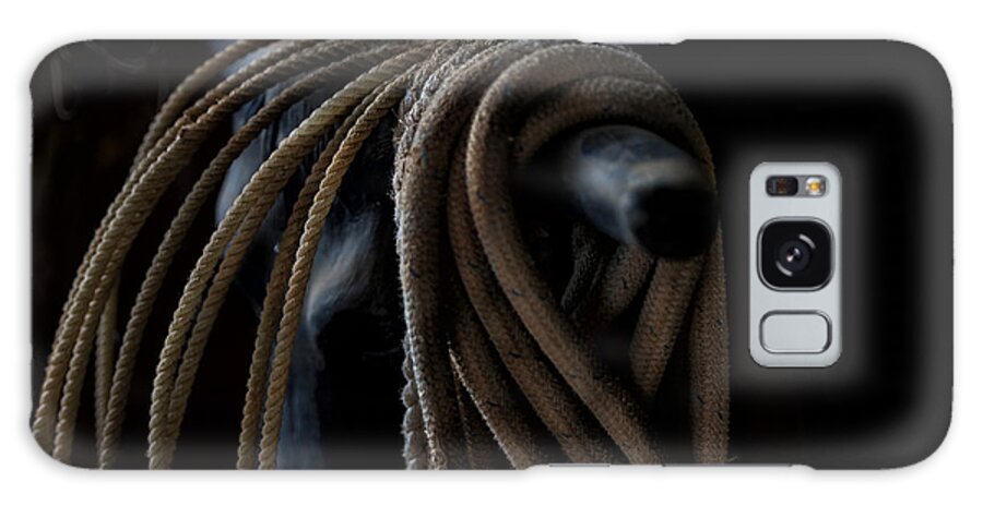 Western Art Galaxy S8 Case featuring the photograph Roped by Pamela Steege