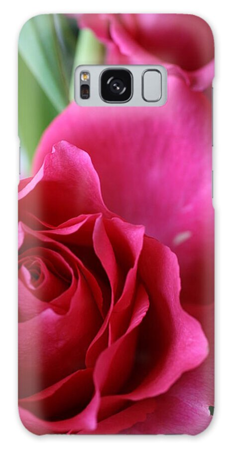 Roses Galaxy Case featuring the photograph Rose 10 by Cheryl Boyer
