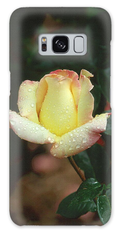 Flower Galaxy Case featuring the photograph Rose 3 by Andy Shomock