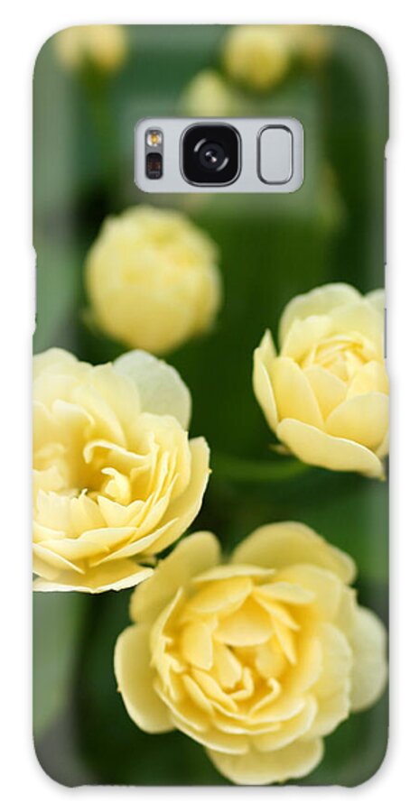 Roses Galaxy Case featuring the photograph Rose 5 by Cheryl Boyer