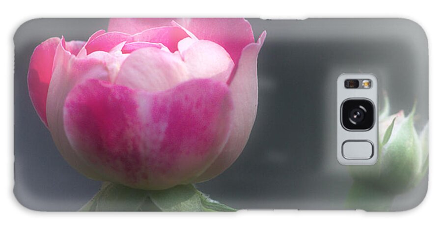 Rose Galaxy Case featuring the photograph Rose and Bud by Jeremy Hayden