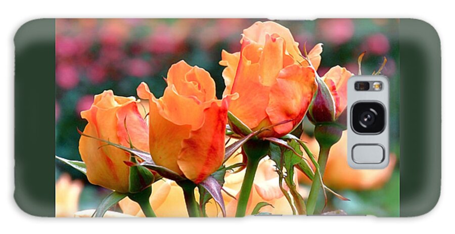 Roses Galaxy Case featuring the photograph Rose Bunch by Rona Black