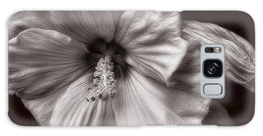Hibiscus Galaxy Case featuring the photograph Rose Mallow Bloom by Louise Kumpf