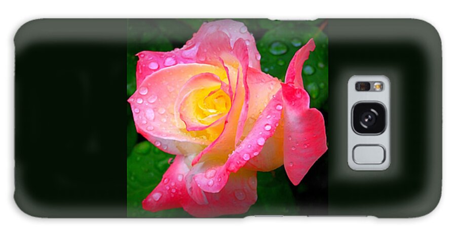Rose Galaxy Case featuring the photograph Rose with Water Droplets by Nick Kloepping