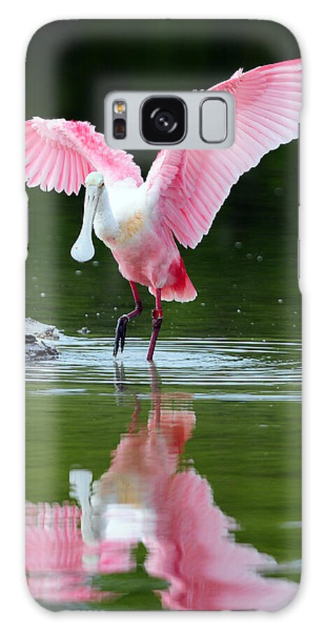 Roseate Spoonbill Galaxy S8 Case featuring the photograph Roseate Spoonbill by Clint Buhler