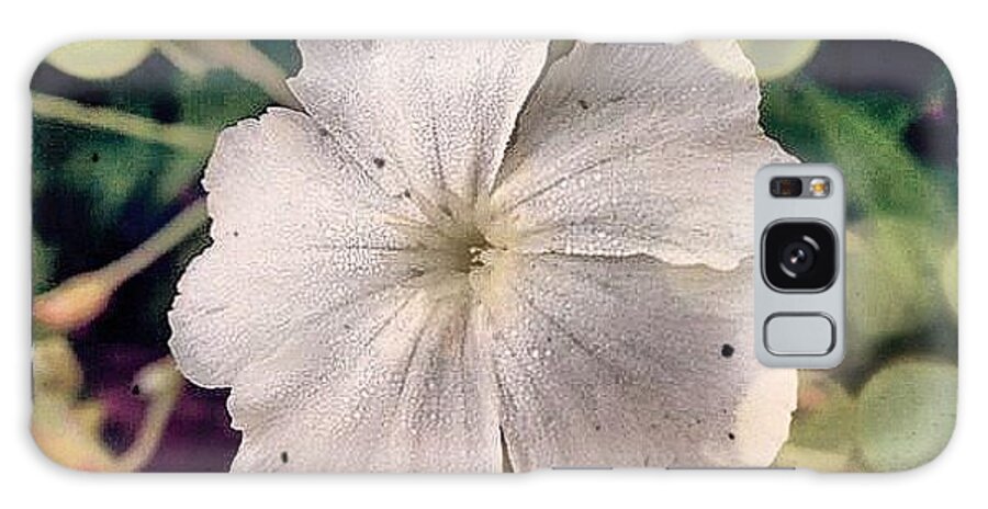 Flower Galaxy Case featuring the photograph #rosecampion #blooming Today. #white by Teresa Mucha