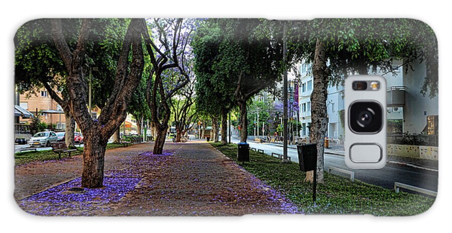 Foliage Galaxy Case featuring the photograph Rothschild boulevard by Ron Shoshani