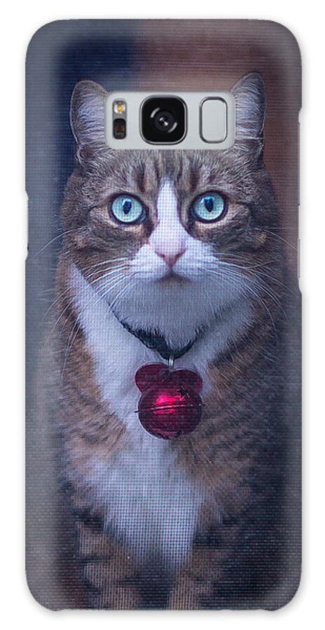 Cat Galaxy Case featuring the photograph Ruby by David Downs
