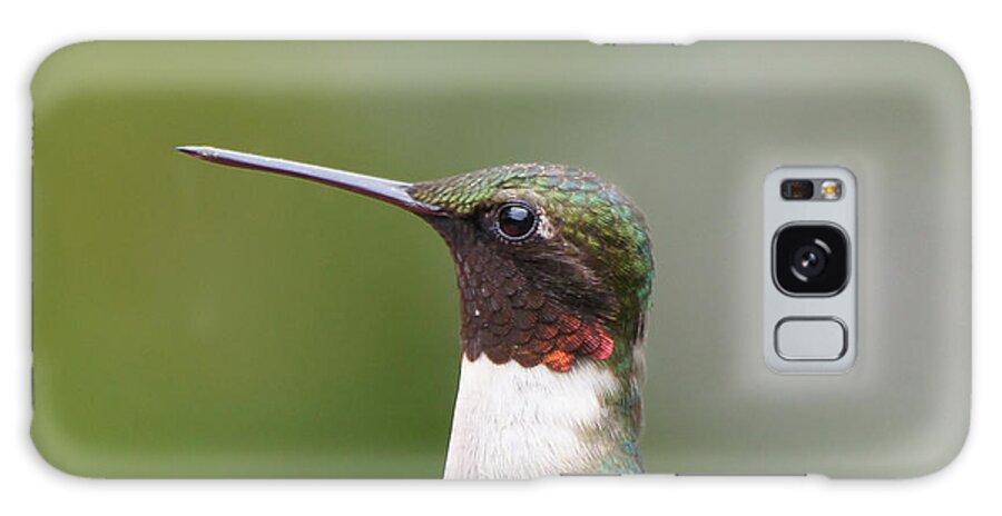 Hummingbird Galaxy Case featuring the photograph Ruby-throated Hummingbird Male 11704-1 by Robert E Alter Reflections of Infinity