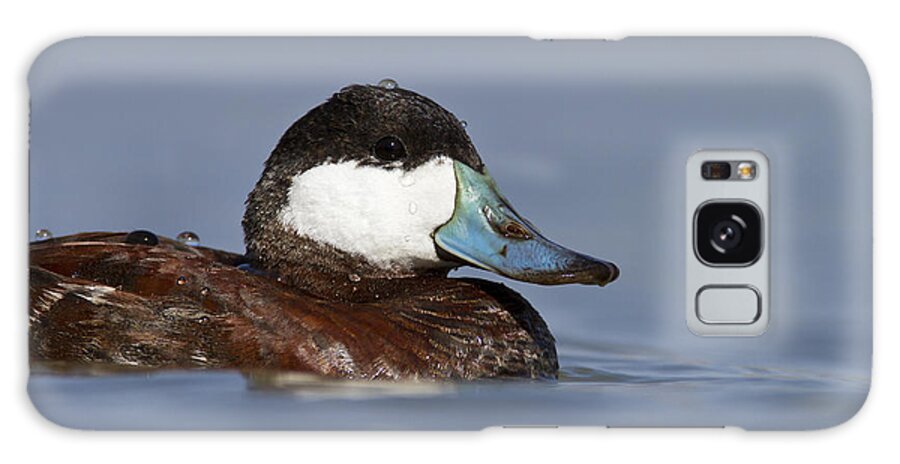 Duck Galaxy Case featuring the photograph Ruddy portrait by Bryan Keil