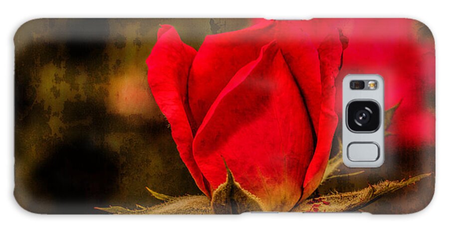Art Prints Galaxy S8 Case featuring the photograph Rustic Rose by Dave Bosse