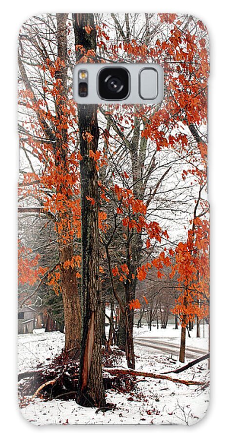 Landscape Galaxy Case featuring the photograph Rustic Winter by Todd Blanchard