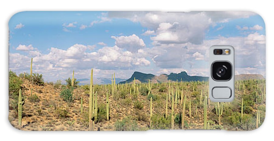 Photography Galaxy Case featuring the photograph Saguaro National Park Tucson Az Usa by Panoramic Images
