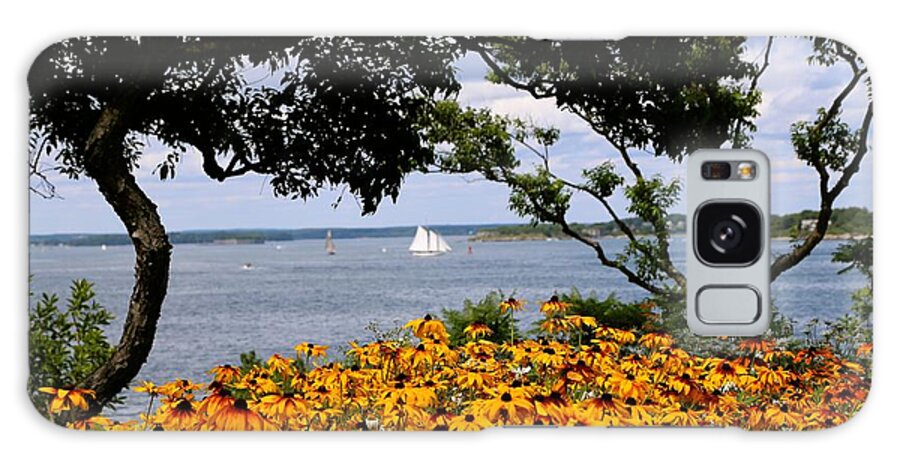 Maine Galaxy Case featuring the photograph Sail away by Colleen Mars