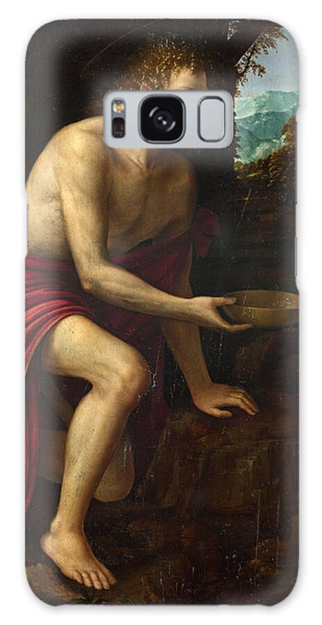 Martino Piazza Galaxy Case featuring the painting Saint John the Baptist in the Desert by Martino Piazza