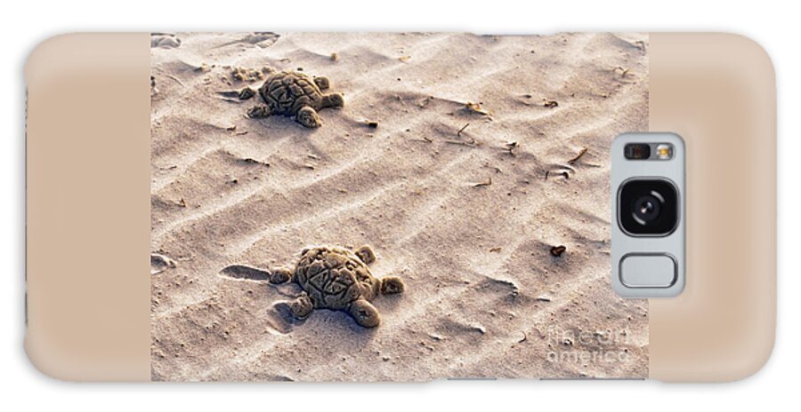 Top Artist Galaxy Case featuring the photograph Sand Turtles by Norman Gabitzsch