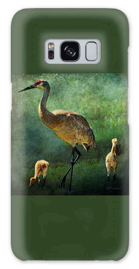 Sandhill Crane Galaxy Case featuring the painting Sandhill and Chicks by Barbara Chichester