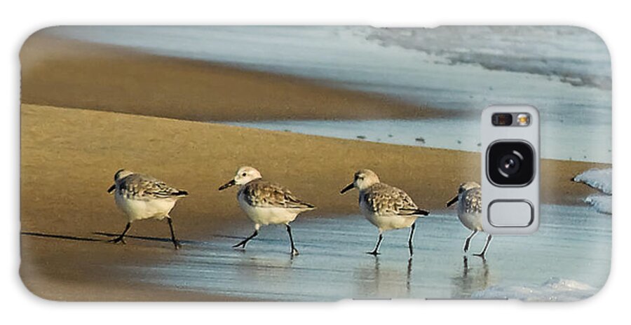 Nature Galaxy Case featuring the photograph Sandpipers by Robert Mitchell