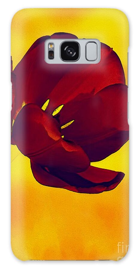 Tulip Galaxy S8 Case featuring the photograph Scarlet Tulip At Sunset by Sharon Woerner