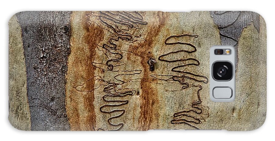 Trees Galaxy Case featuring the photograph Scribbly Gum Art E by Peter Kneen