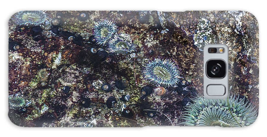 Anenome Galaxy Case featuring the mixed media Sea Anenome Jewels by Terry Rowe