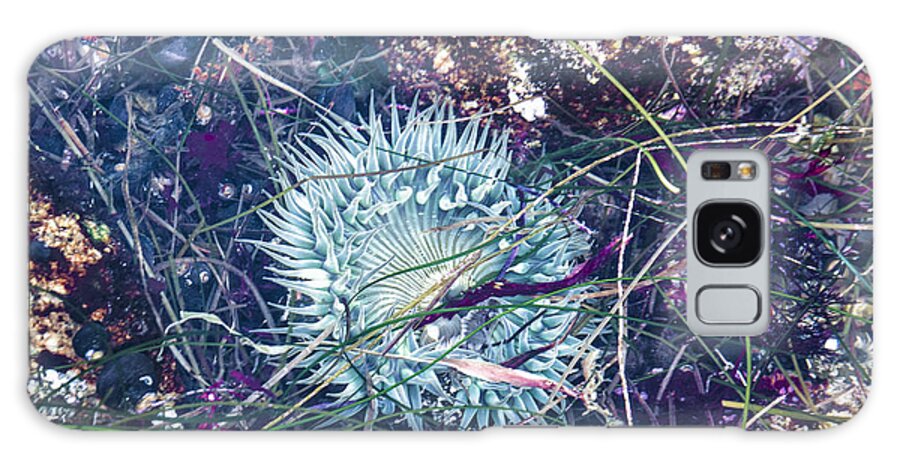 Anenome Galaxy Case featuring the mixed media Sea Anenome - Terrestrial Flower by Terry Rowe